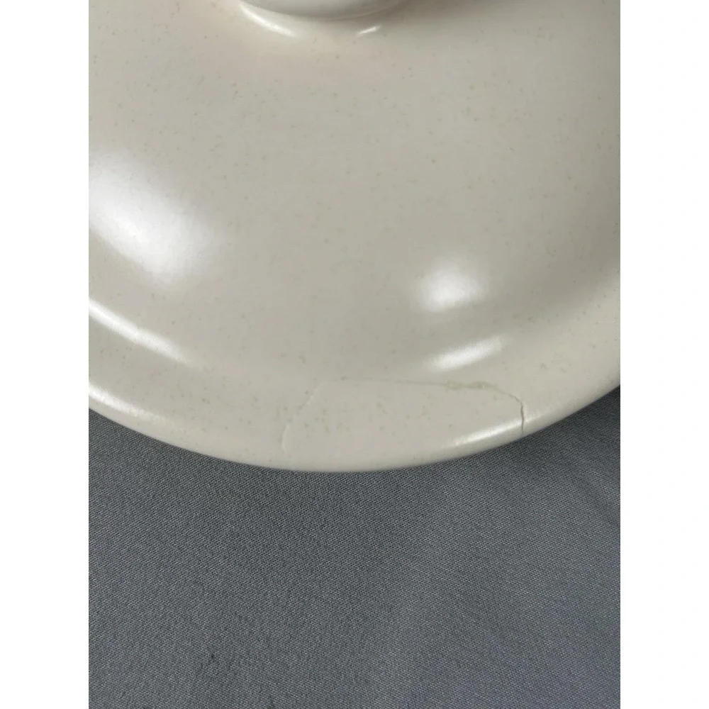 Pfaltzgraff Naturewood Spearmint Small Canister‎ Sealed Lid Clean Repaired Chip